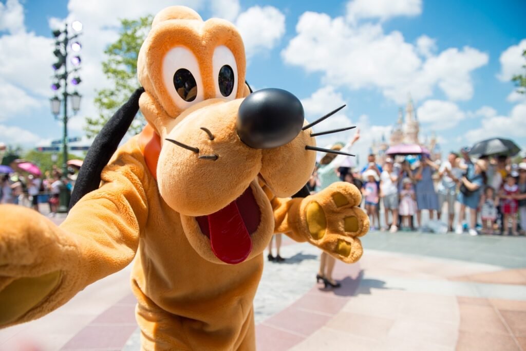 Luxury taxi service Paris – VIP transfer to Disneyland Paris
